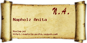 Napholz Anita névjegykártya